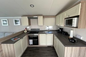 Swift Snowdonia (12)