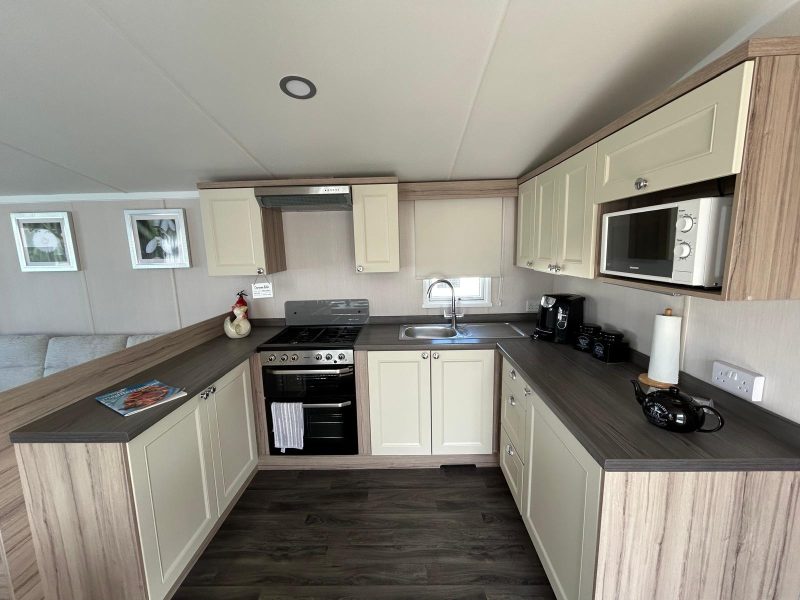 Swift Snowdonia (12)